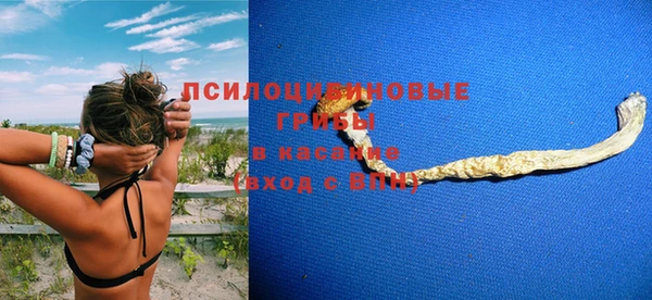 a pvp Саяногорск