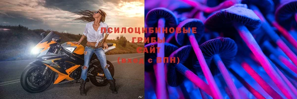 твердый Абаза