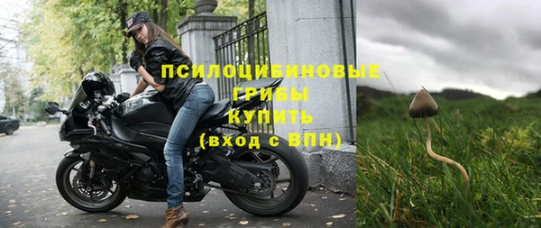 стафф Алексин