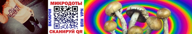 Псилоцибиновые грибы мухоморы Инсар